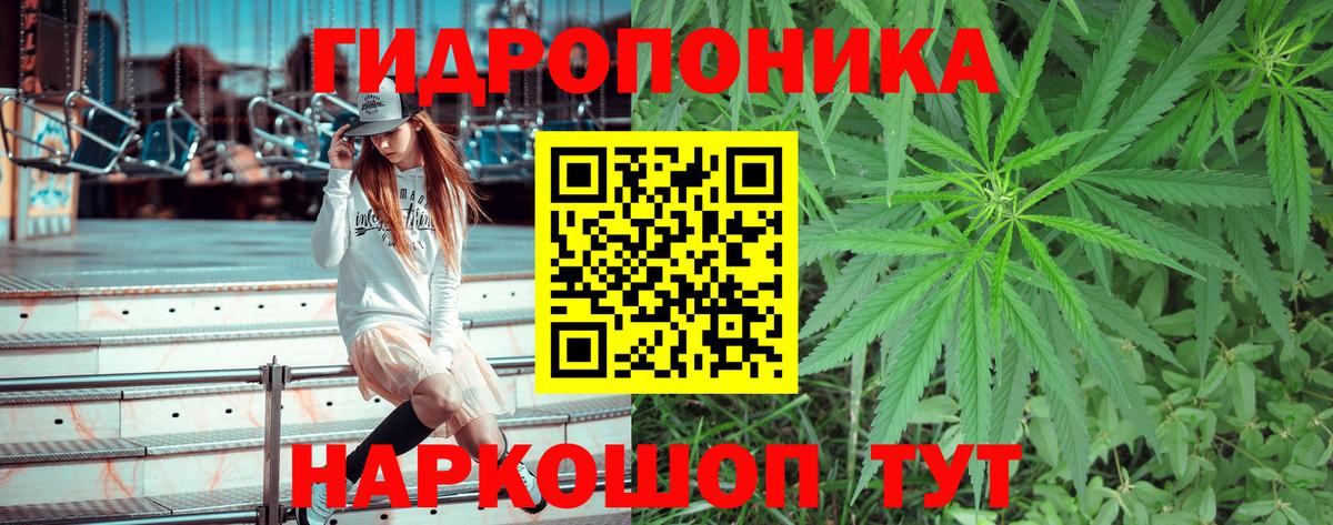 Марихуана тримм  Вход с VPN  Бошки Шишки Bruce Banner  Кашира  Бошки марихуана индика 
